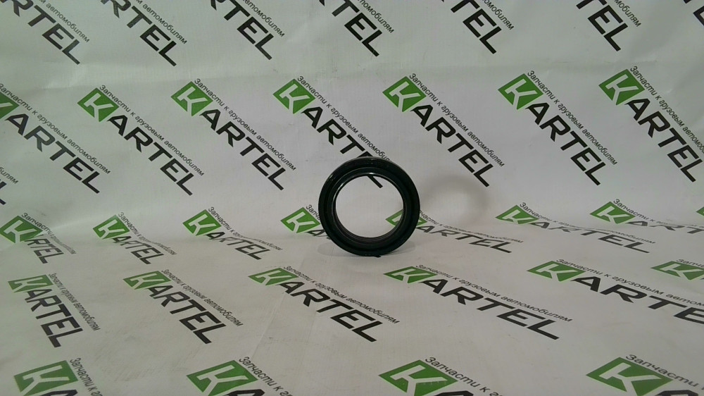 12018678B Сальник в кулак (аналог)